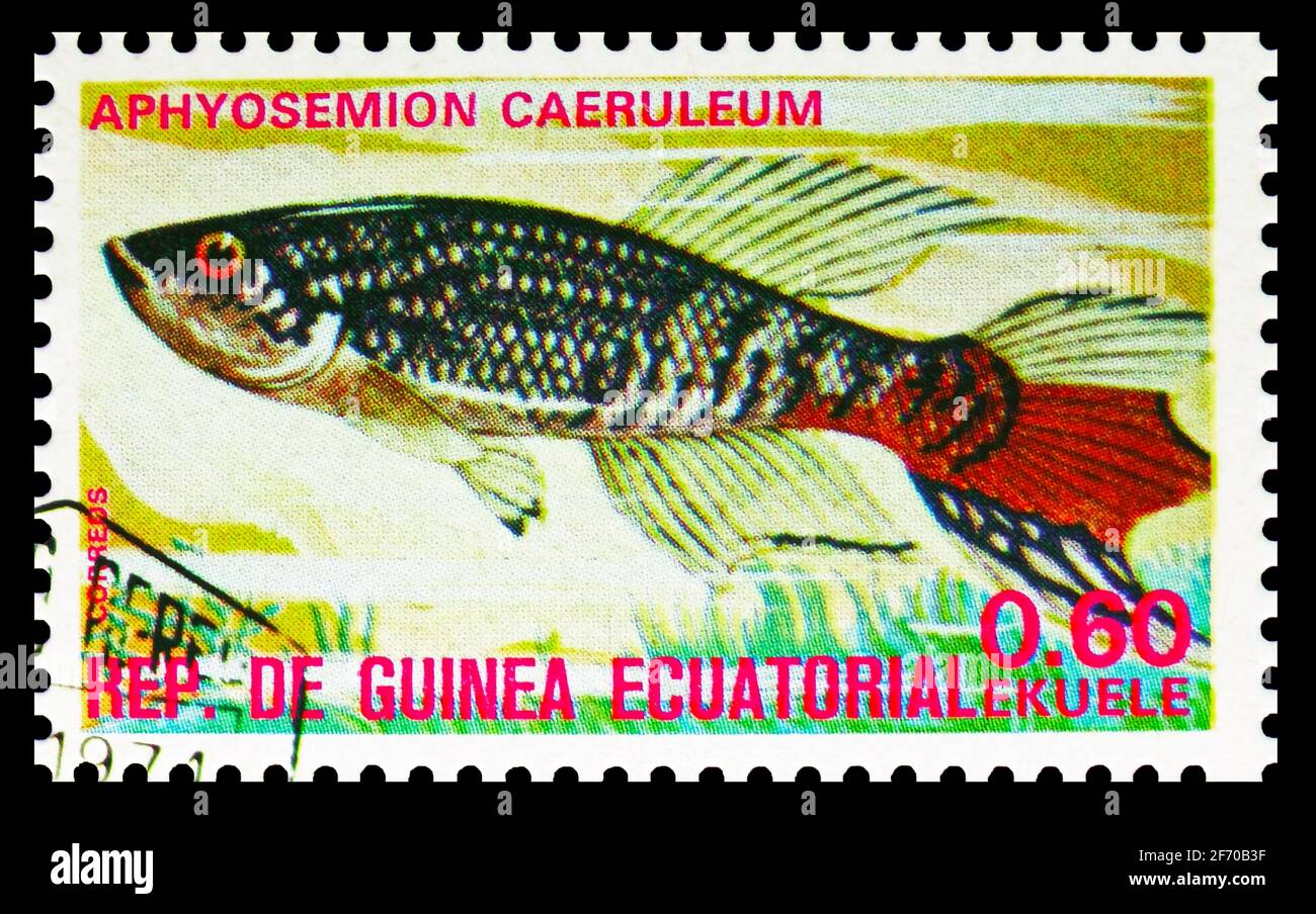 MOSCOW, RUSSIA - DECEMBER 19, 2020: Postage stamp printed in Equatorial Guinea shows Blue Gularis (Aphyosemion caeruleum), Fishes (I) exotic serie, ci Stock Photo