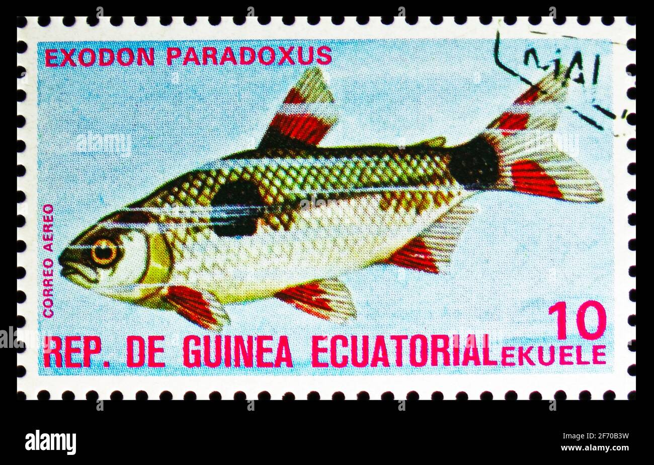 MOSCOW, RUSSIA - DECEMBER 19, 2020: Postage stamp printed in Equatorial Guinea shows Bucktooth Tetra (Exodon paradoxus), Fishes (I) exotic serie, circ Stock Photo