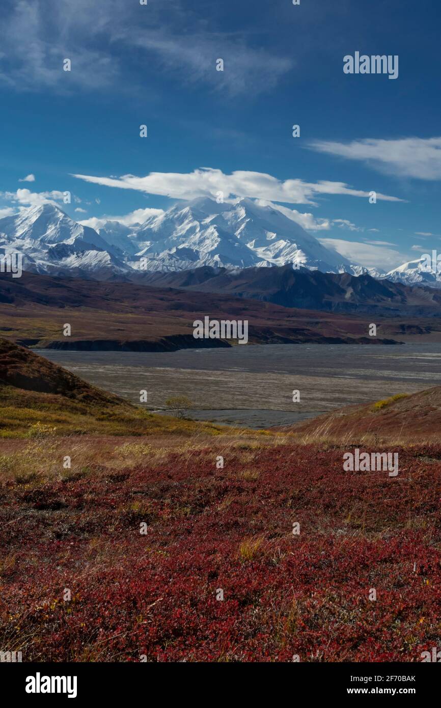 North America; United States; Alaska; Alaska Range Mountains; Denali National Park; Mount Denali; Thorofare Pass; Autumn Colors Stock Photo