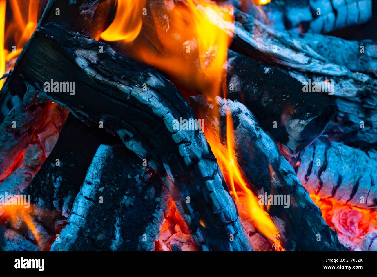 Fire. Bonfire from dry branches in the forest Stock Photo - Alamy