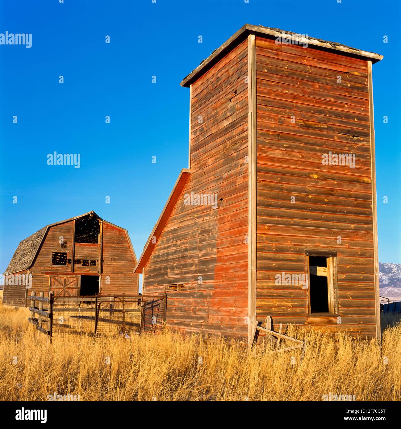 old grain bin and barn near manhattan, montana Stock Photo Alamy