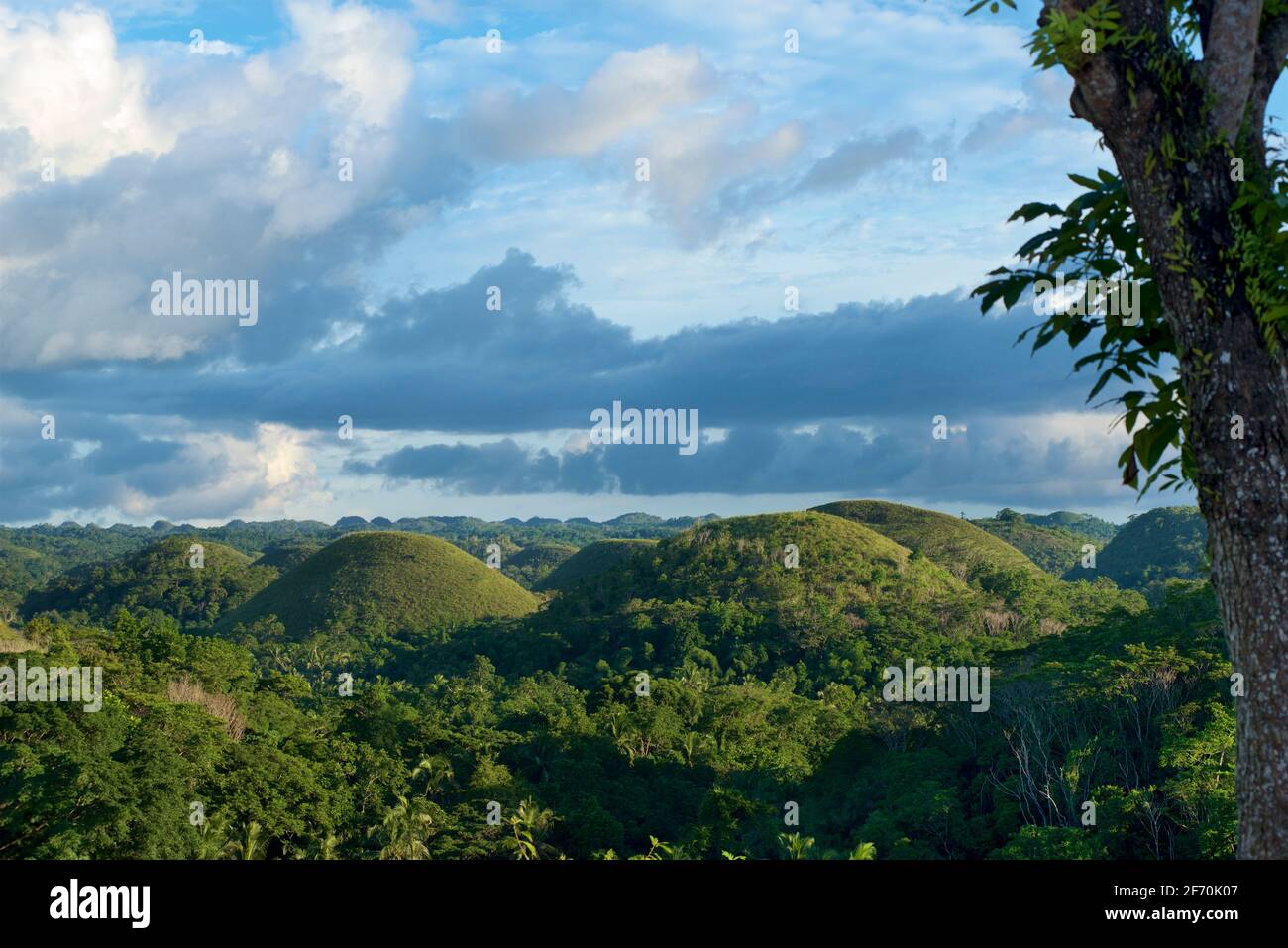 Conical karst topography hires stock photography and images Alamy