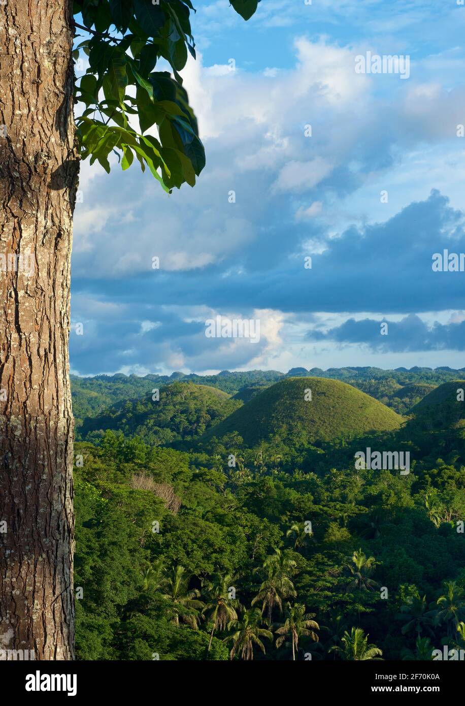 Conical karst topography hires stock photography and images Alamy