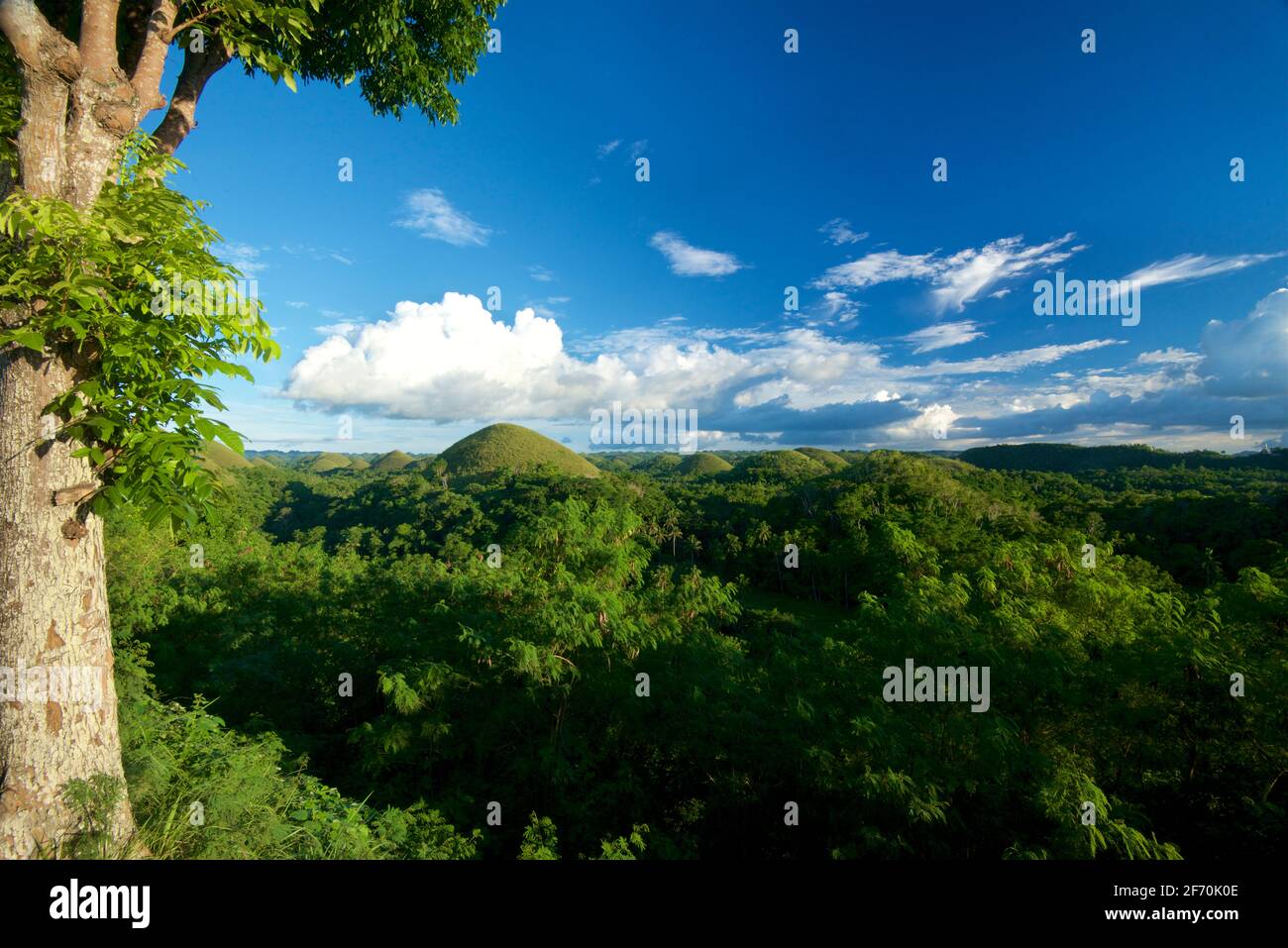 Conical karst topography hires stock photography and images Alamy