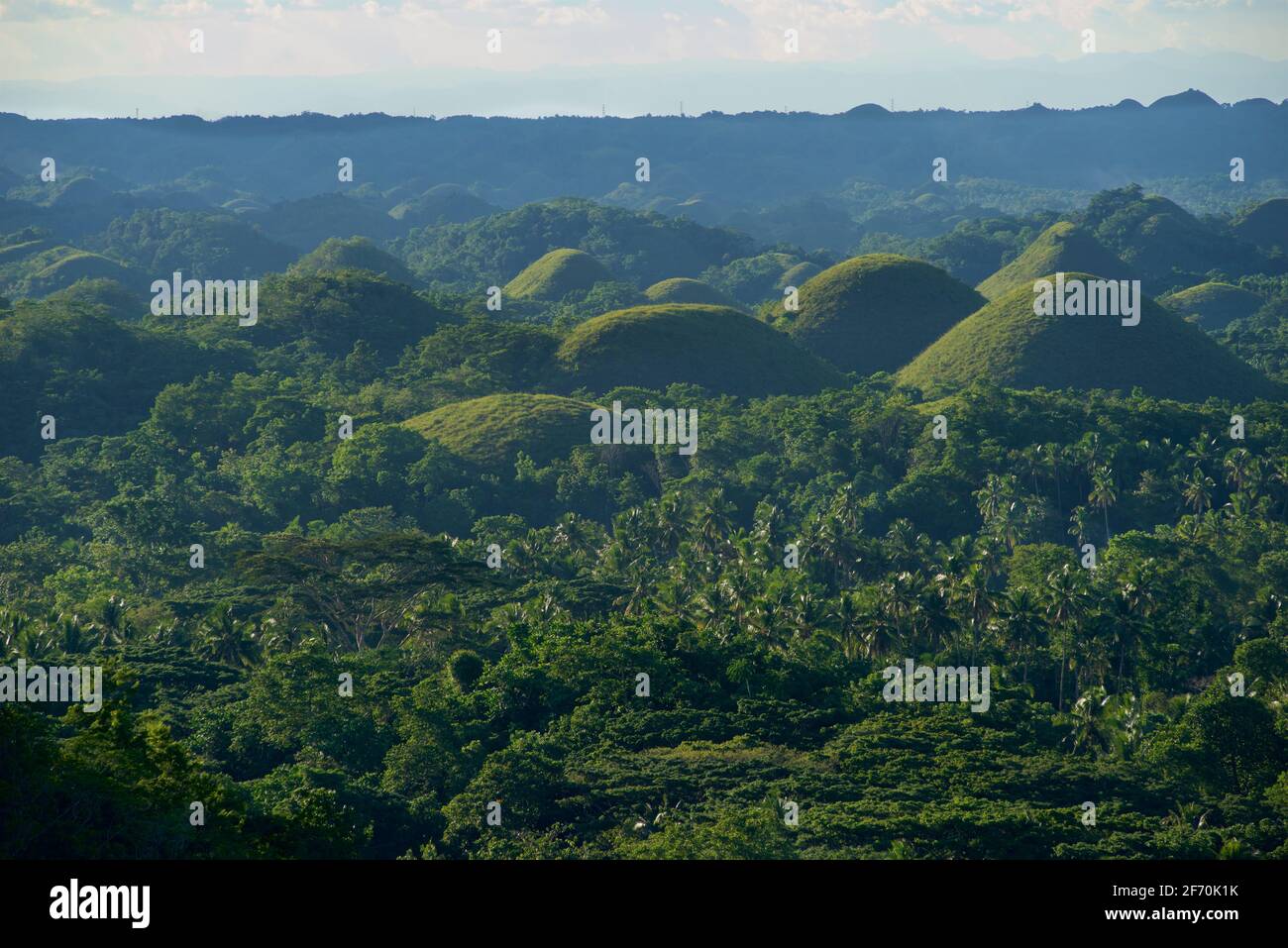 Chocolate hills is in the province of bohol philippines hires stock