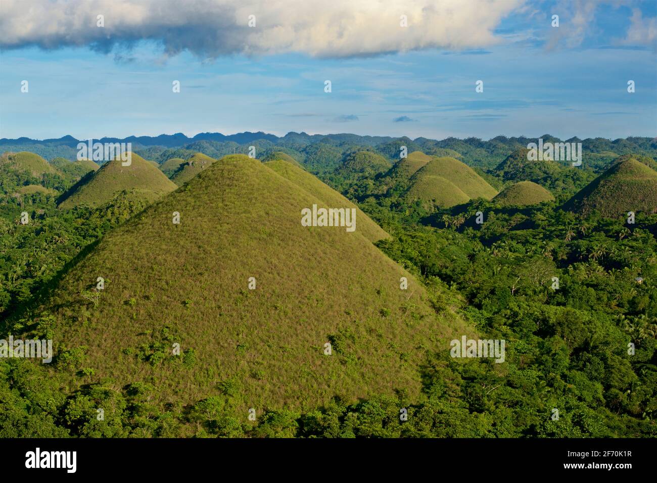 View of the 'Chocolate Hills', Carmen, Bohol province, Philippines, SE Asia. Known in Cebuano as Mga Bungtod sa Tsokolate, and in Tagalog as : Tsokolateng burol. Conical karst landscape Stock Photo