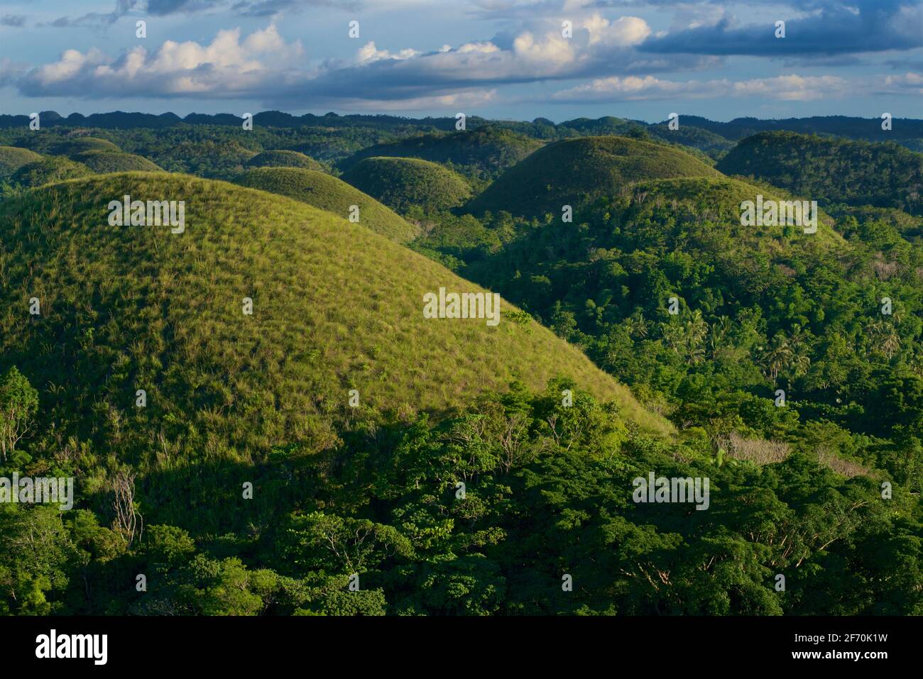 View of the 'Chocolate Hills', Carmen, Bohol province, Philippines, SE Asia. Known in Cebuano as Mga Bungtod sa Tsokolate, and in Tagalog as : Tsokolateng burol. Conical karst landscape Stock Photo