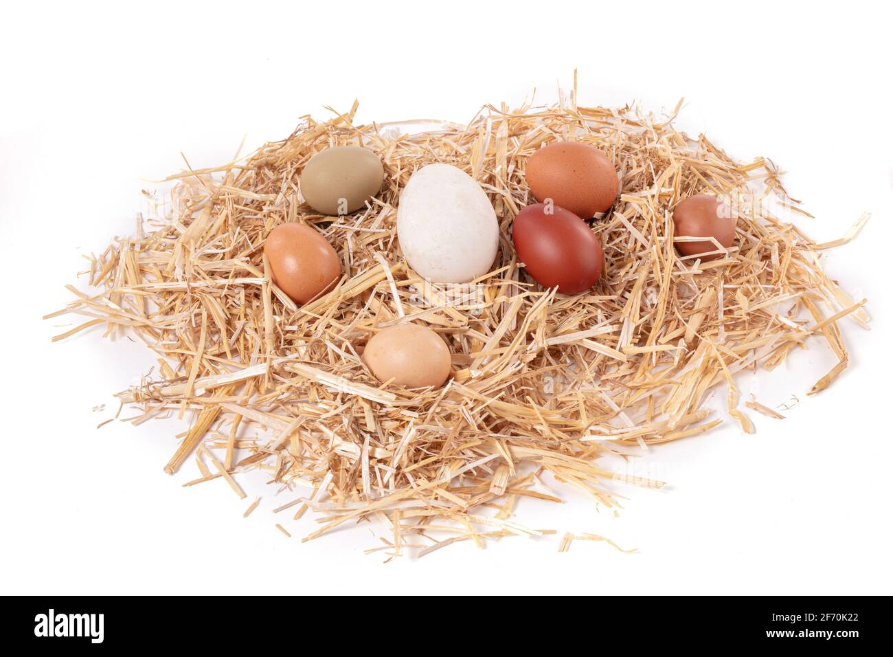 eggs of various sizes and colors with straw on a white background Stock ...