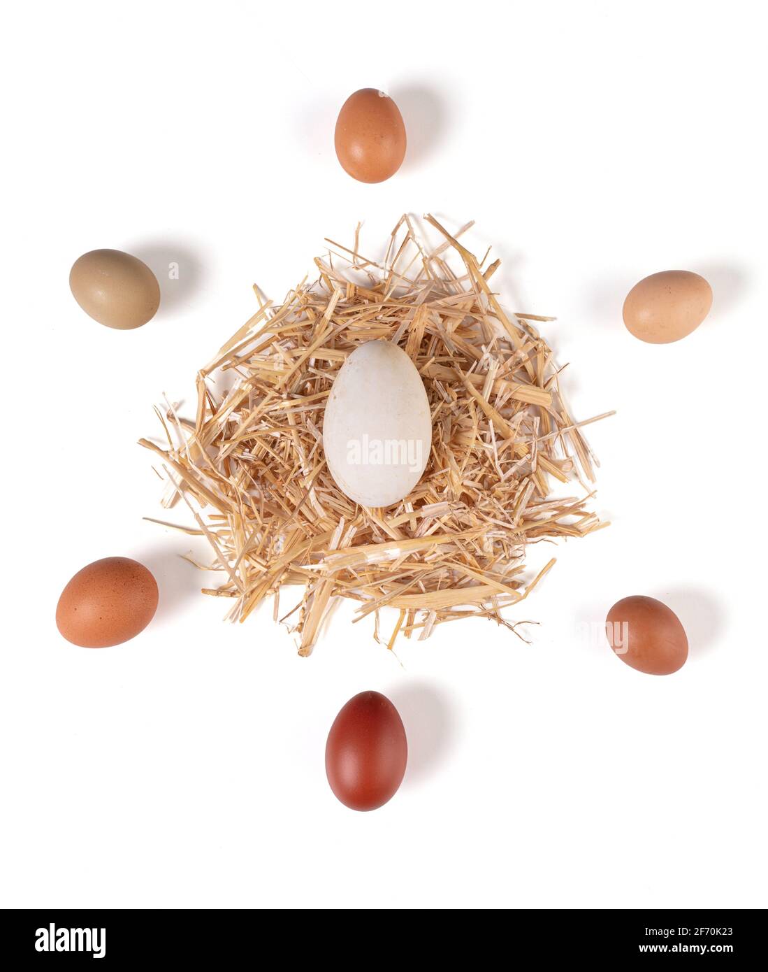 eggs of various sizes and colors with straw on a white background Stock ...