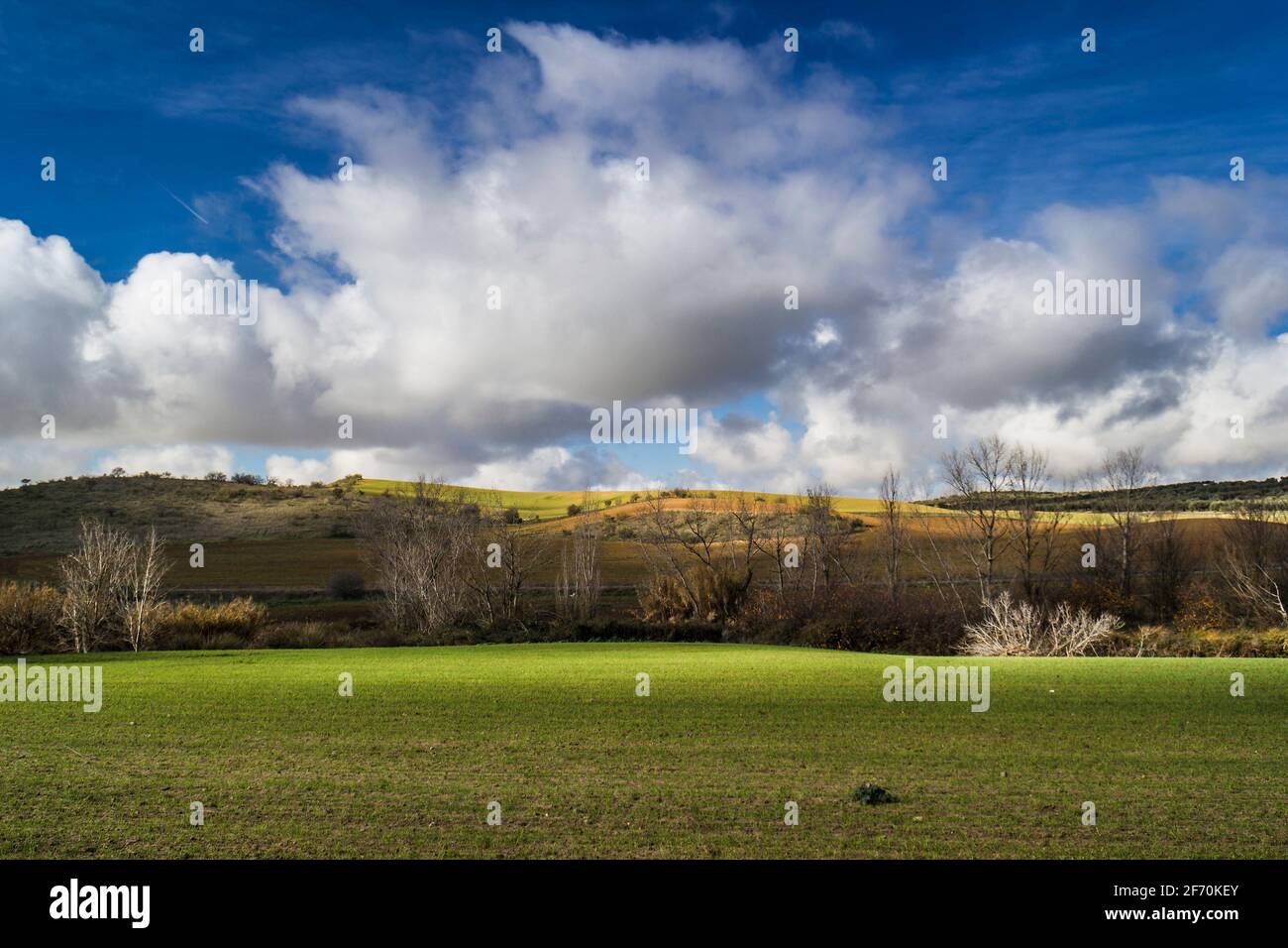 Campos de Castilla, Toledo, Spain Stock Photo Alamy