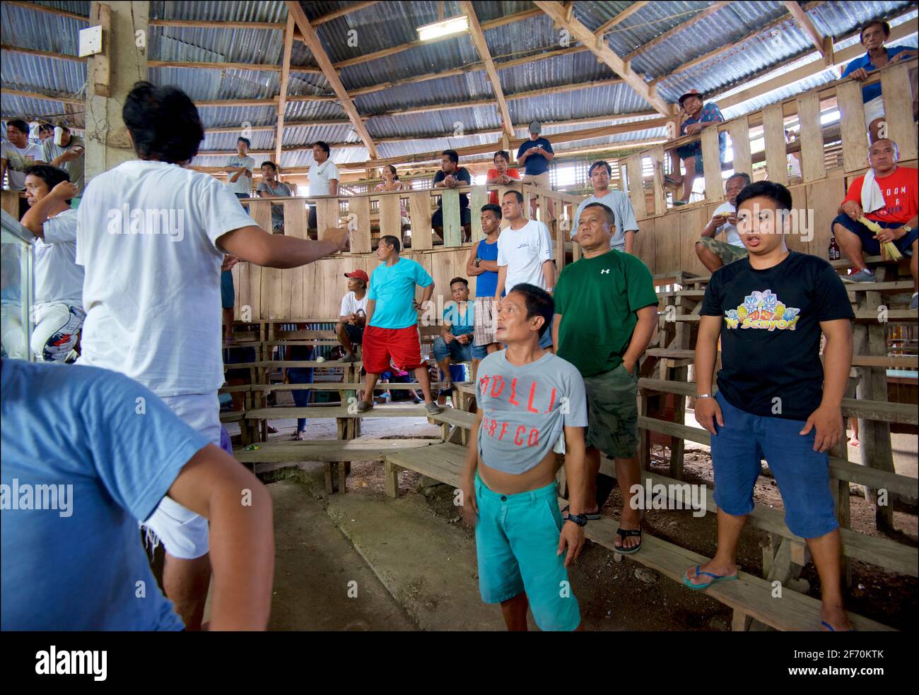 A crowded coackfighting arena, Camayaan, Bohol, Philippines Stock Photo ...