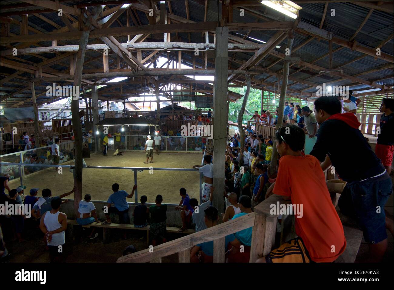 A crowded coackfighting arena, Camayaan, Bohol, Philippines Stock Photo ...