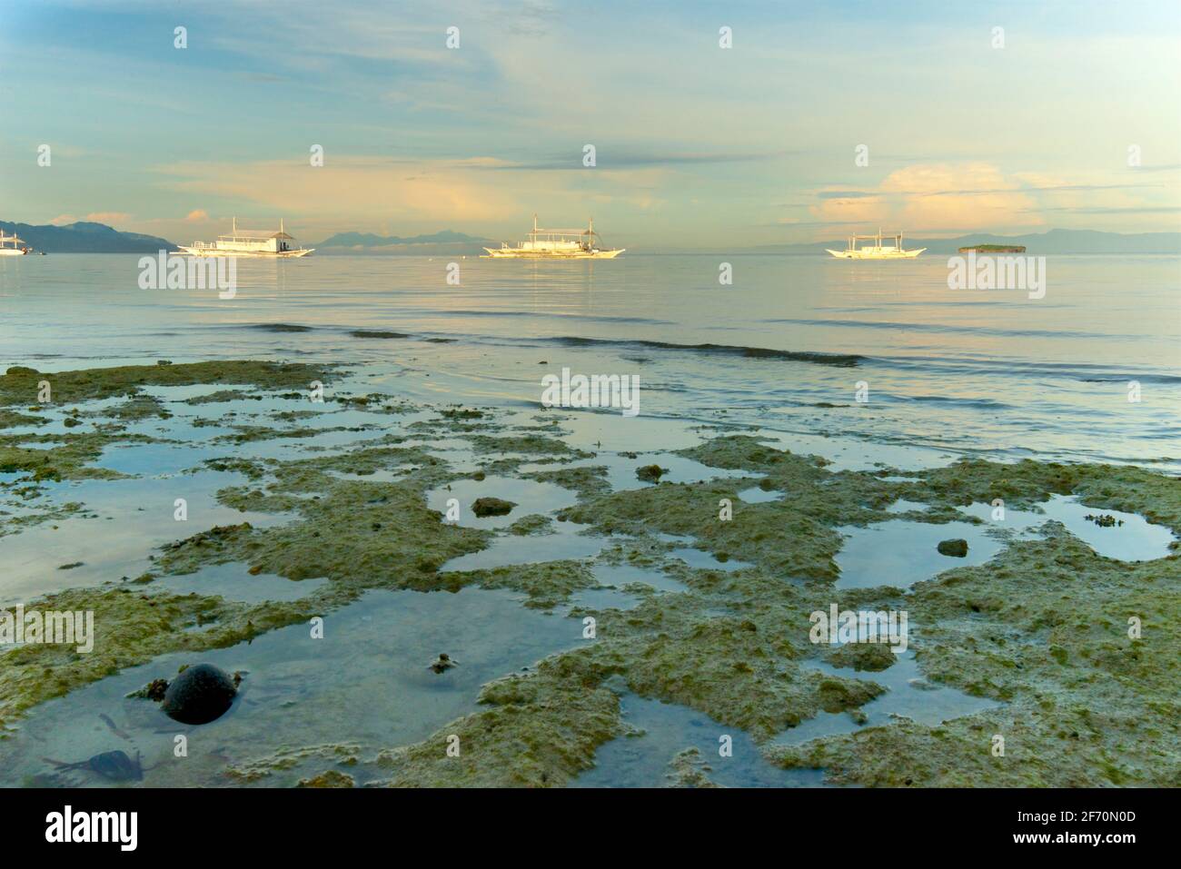 Low tide, Moalboal, Cebu, Central Visayas, Philippines. Dving boats anchored off shore. Stock Photo