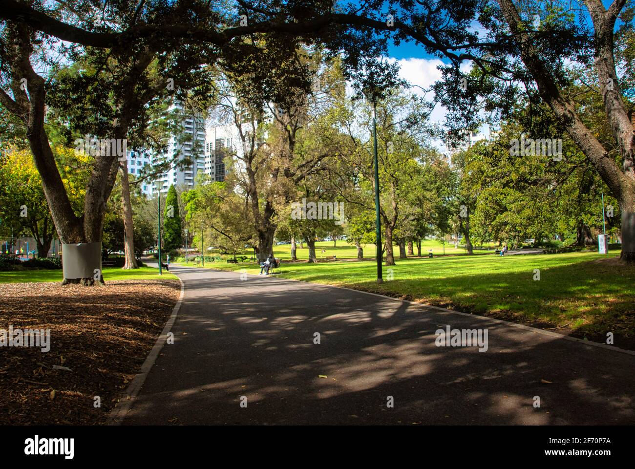 City park in Melbourne. High quality photo Stock Photo