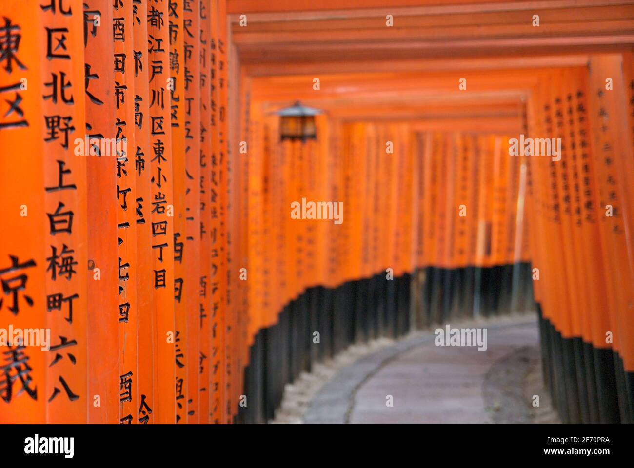 Orange laquered Torii gates at Fushimi Inari Taisha shrine in Kyoto ...