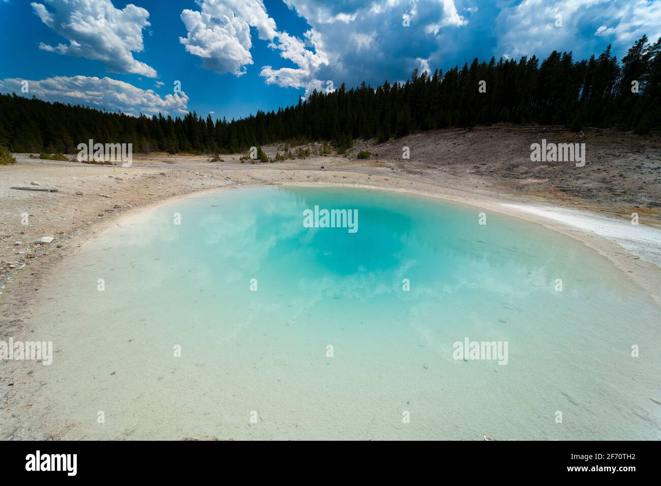 Sulfolobus acidocaldarius hires stock photography and images Alamy
