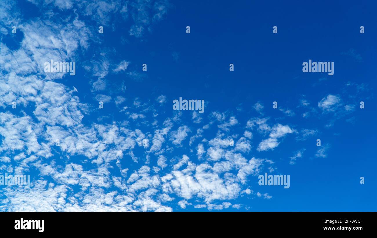 White clouds cumulus floating on blue sky for backgrounds concept Stock ...