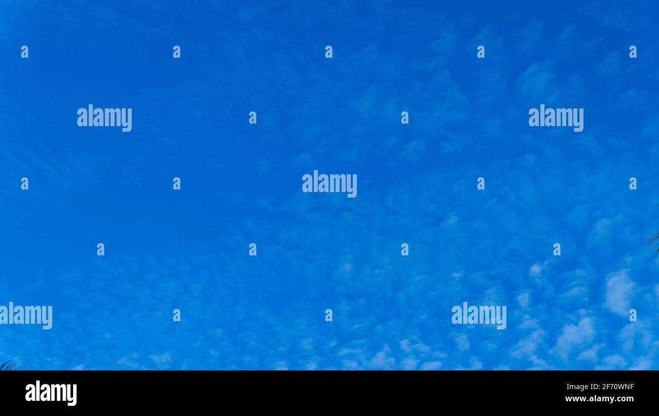 White clouds cumulus floating on blue sky for backgrounds concept Stock ...