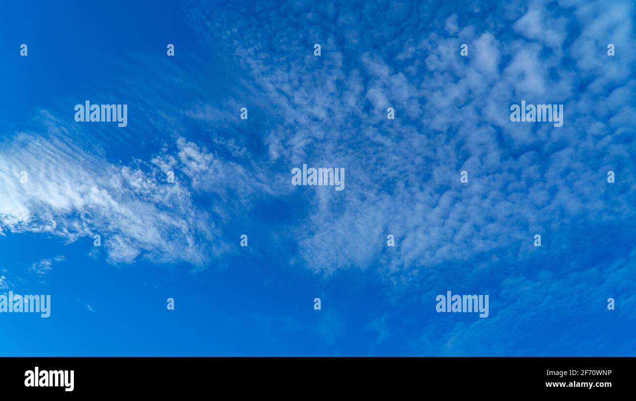 White clouds cumulus floating on blue sky for backgrounds concept Stock ...