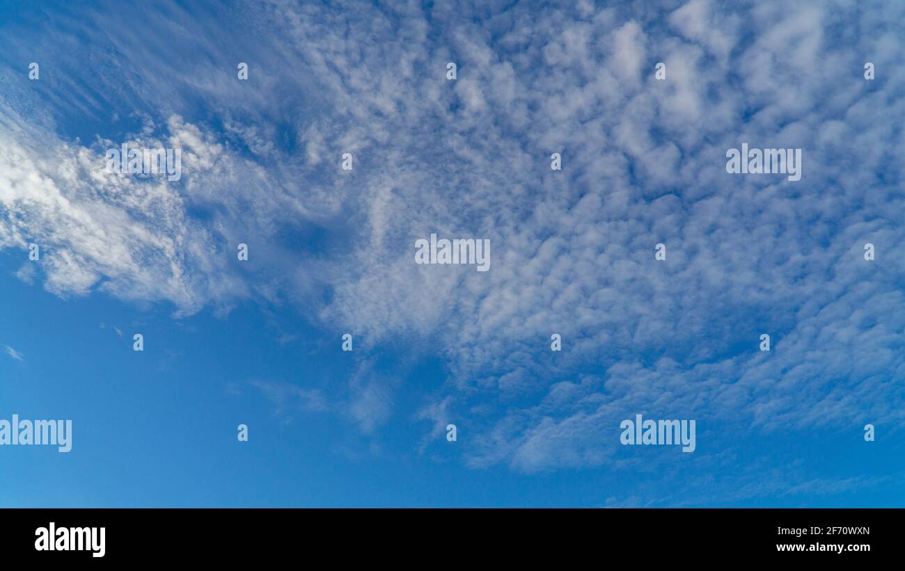 White clouds cumulus floating on blue sky for backgrounds concept Stock ...