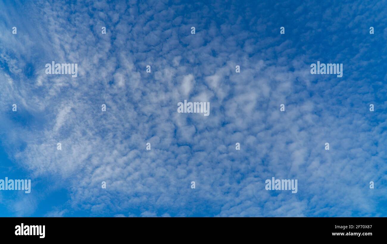 White clouds cumulus floating on blue sky for backgrounds concept Stock ...