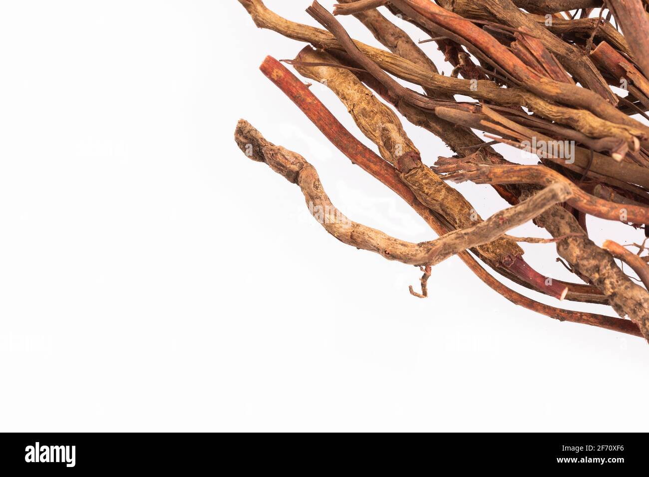 Medicinal roots de zarzaparrilla - Smilax aspera. White background Stock Photo