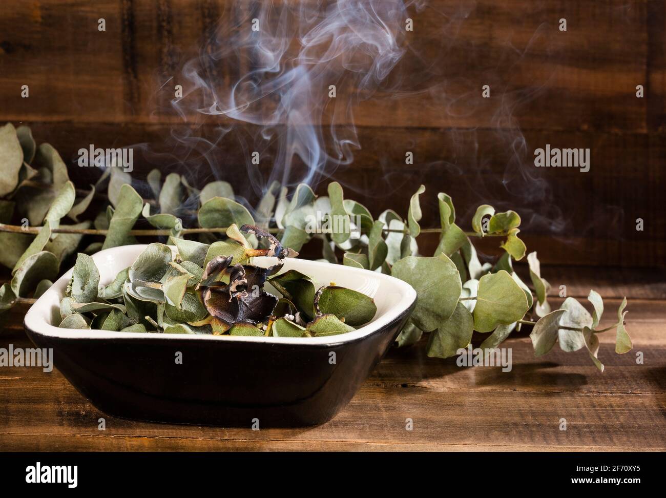 Eucalyptus incense, dried eucalyptus leaves Text space Stock Photo