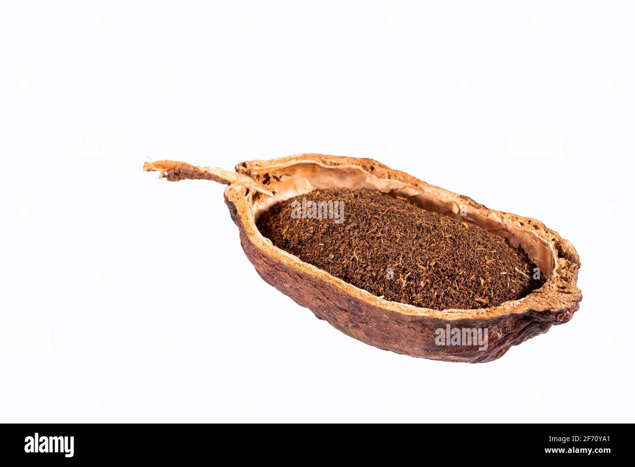 Black Tea Powder Camellia sinensis Stock Photo Alamy