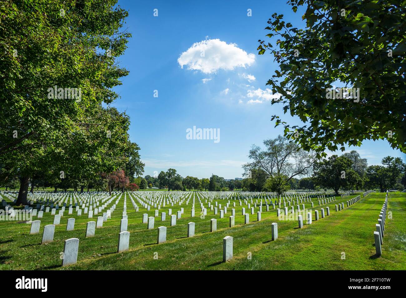 Rows of white headstones framed by lush, green trees in Arlington National Cemetery on a sunny summer day in Arlington, Virginia Stock Photo