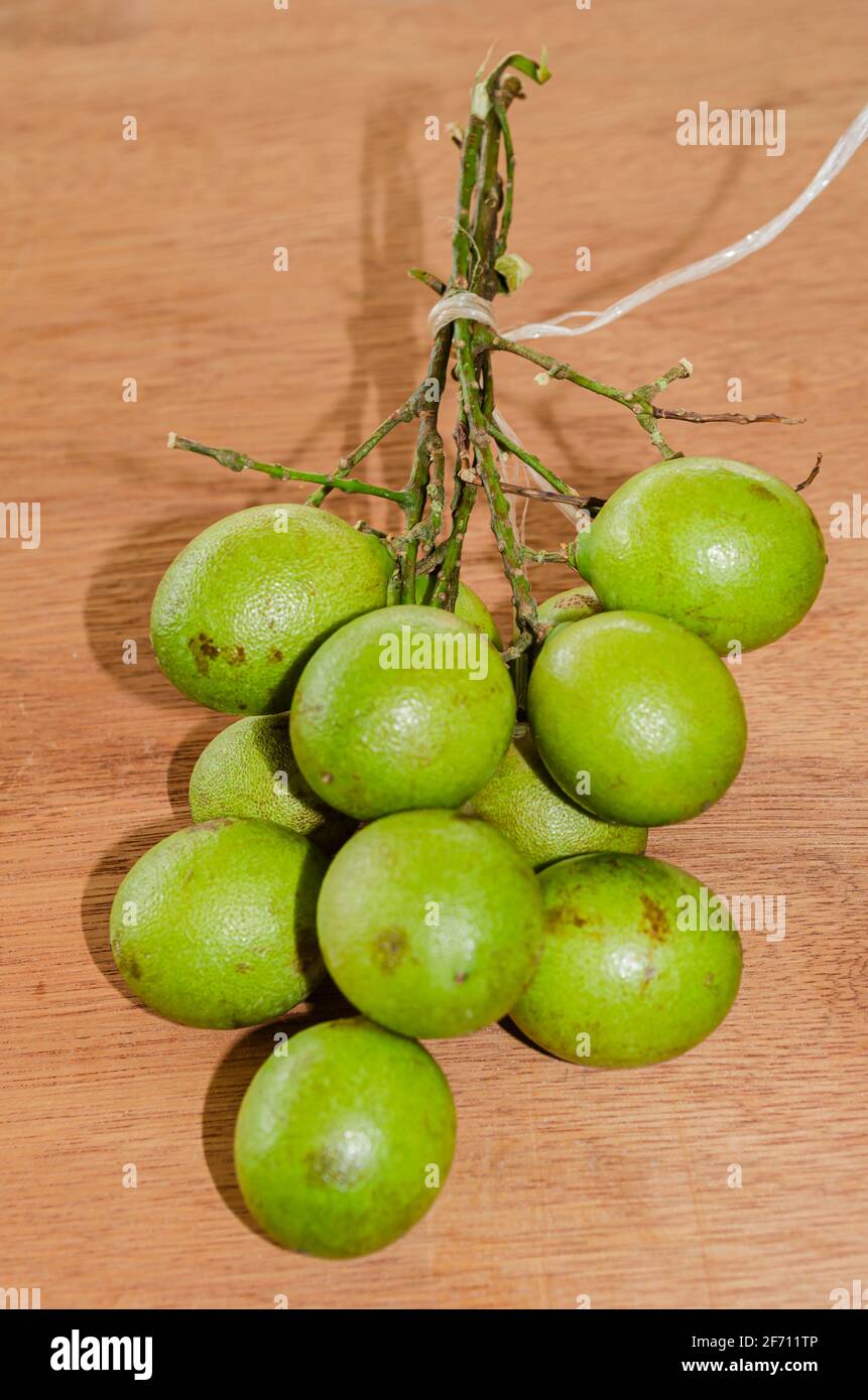 Guinep High Resolution Stock Photography And Images Alamy Guinep High Resolution Stock Photography And Images Alamy