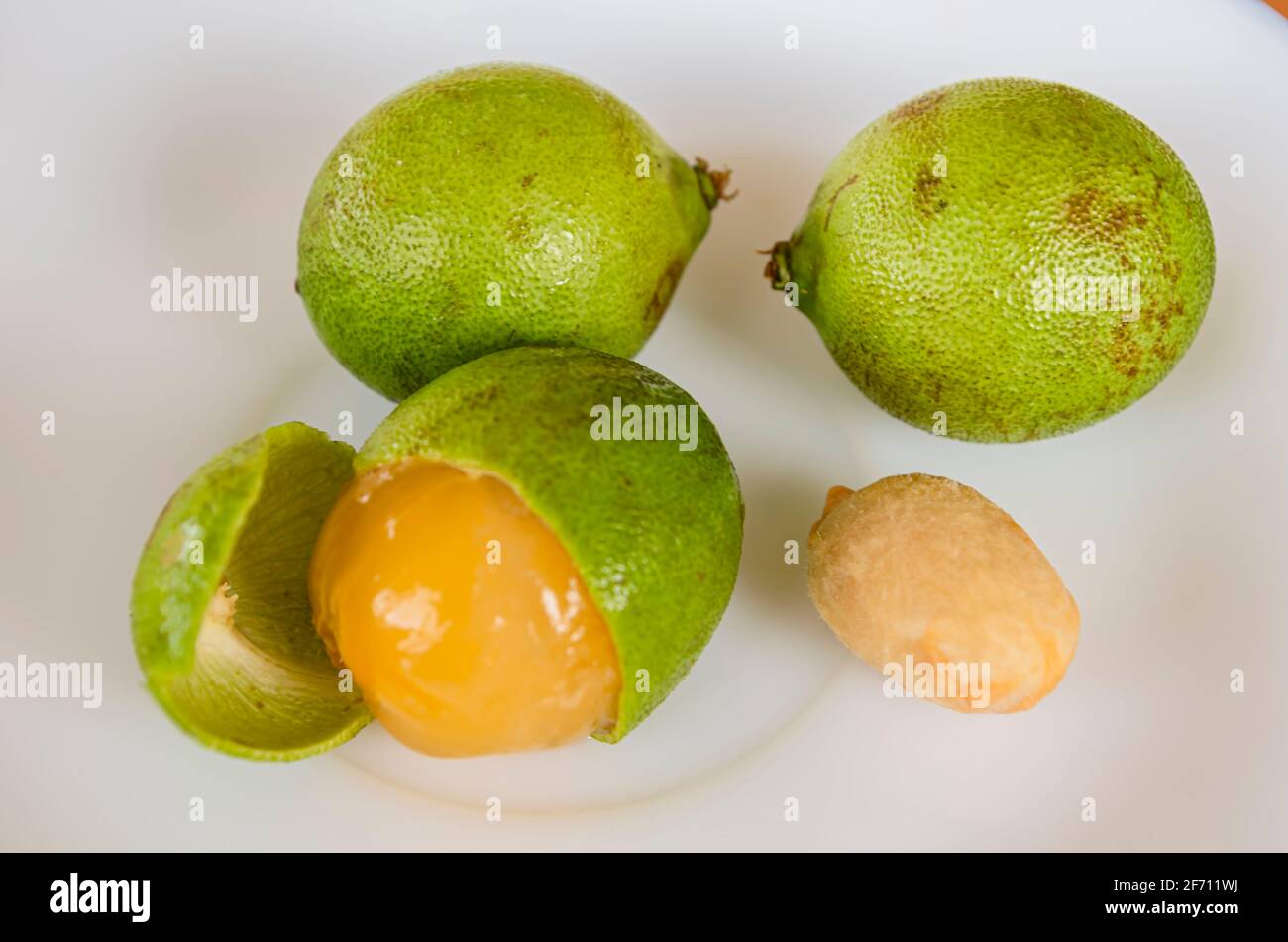 Guinep High Resolution Stock Photography And Images Alamy Guinep High Resolution Stock Photography And Images Alamy
