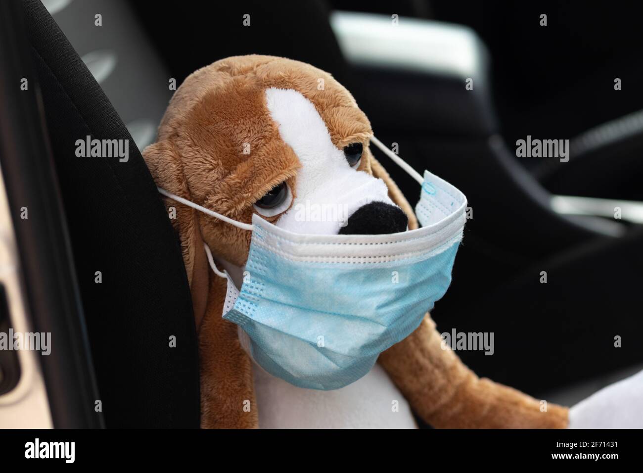 Beagle Face Cover - Blue Beagle Face Cover - Blue