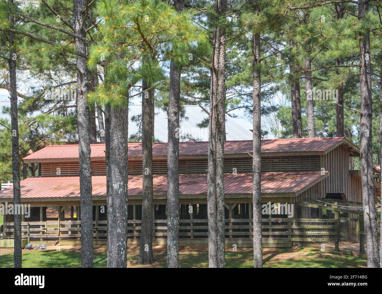 Mississippi barn hi-res stock photography and images - Alamy