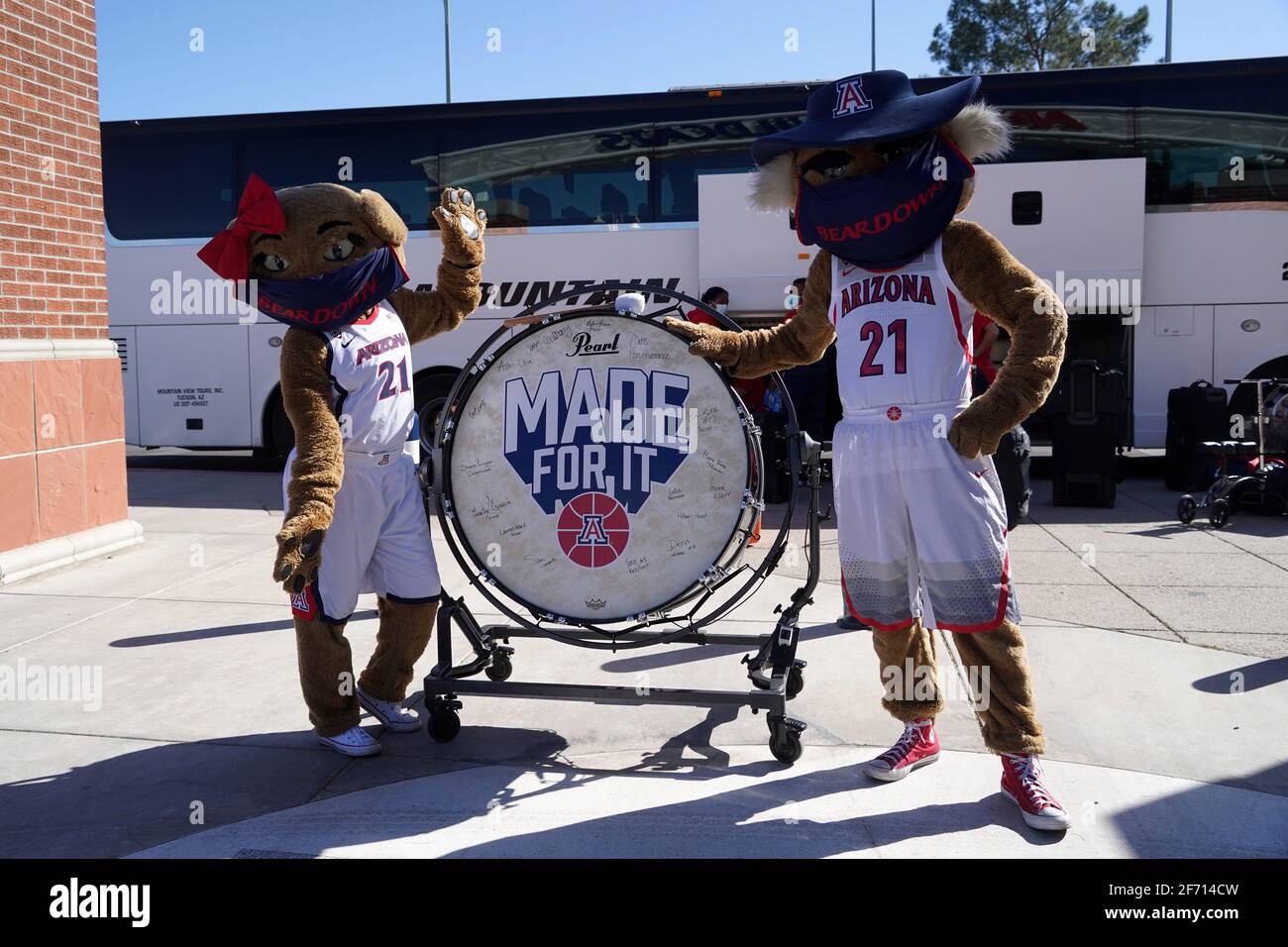 Arizona wildcats mascots wilbur and wilma greet the women s basketball