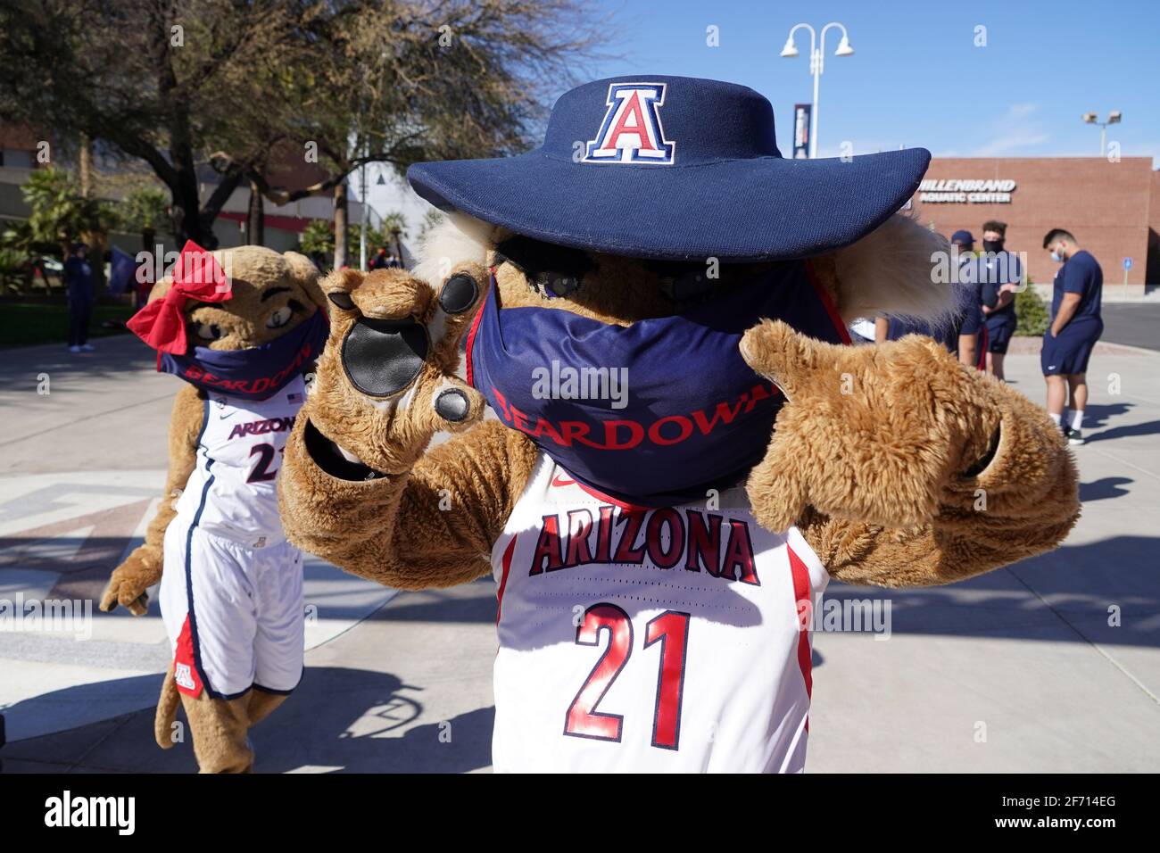 Arizona Wildcats mascots Wilbur and Wilma greet the women's basketball