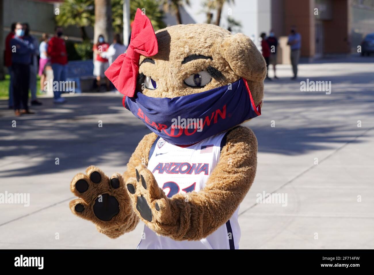 Arizona wildcats mascots wilma greets the women s basketball team prior