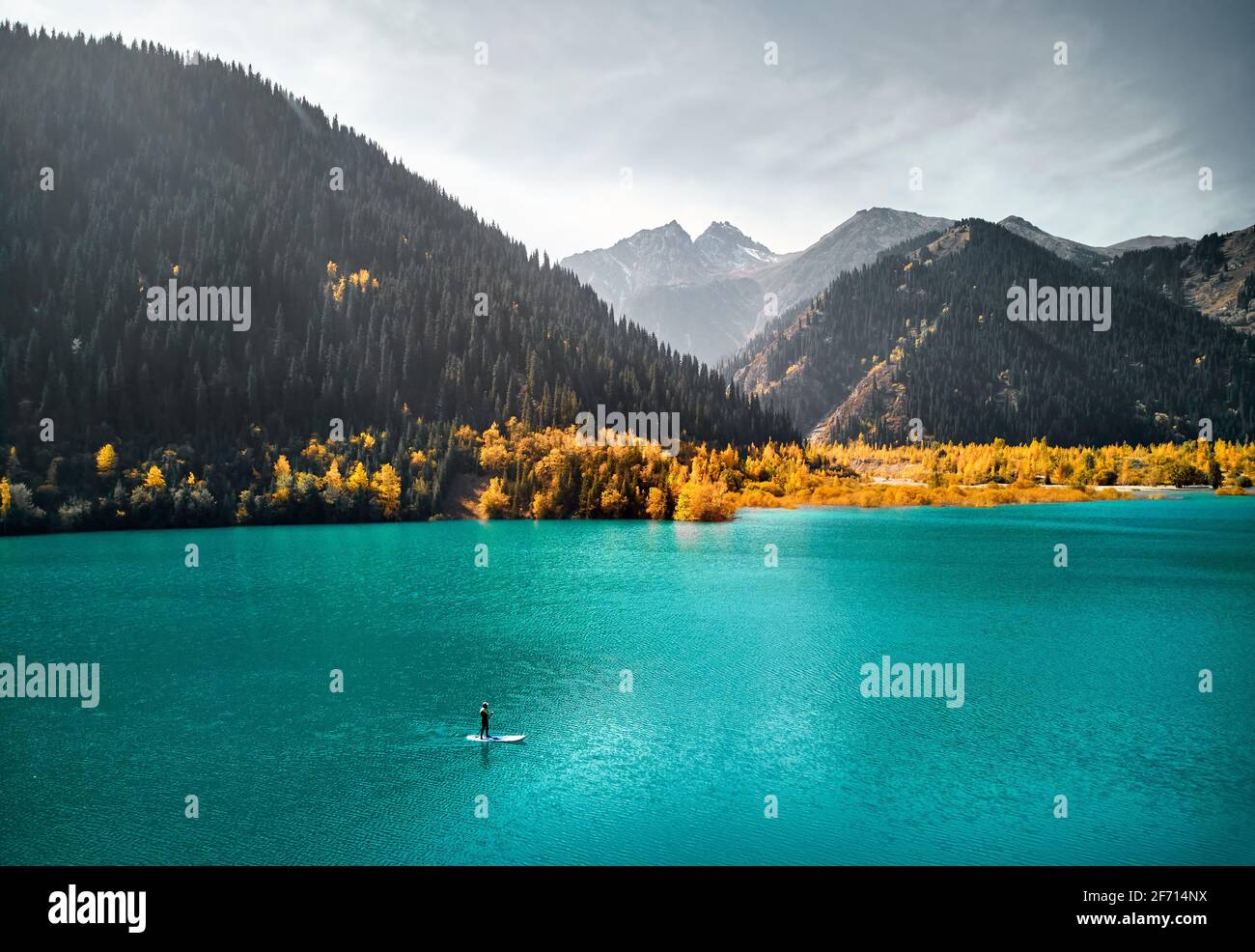 Aerial drone shot of Man floating on a SUP board at mountain lake near yellow forest in autumn time. Adventure at Stand up paddle boarding. Stock Photo