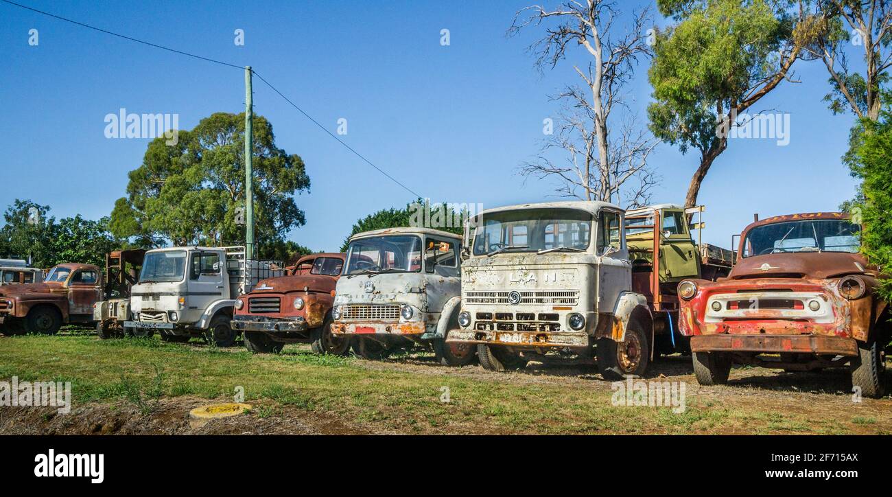 collection of vintage trucks at Kent & Co. Vintage, Glen Innes,  Northern Tablelands, New England region; New South Wales, Australia Stock Photo