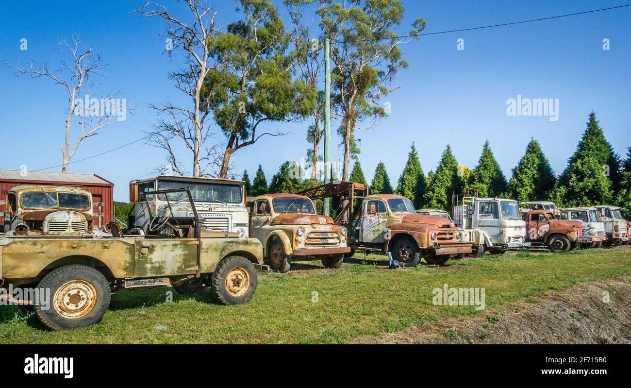 collection of vintage trucks at Kent & Co. Vintage, Glen Innes,  Northern Tablelands, New England region; New South Wales, Australia Stock Photo