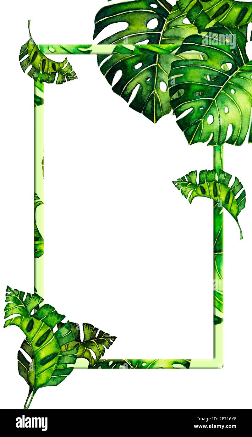 Update 91+ imagen green background tropical - Thptletrongtan.edu.vn