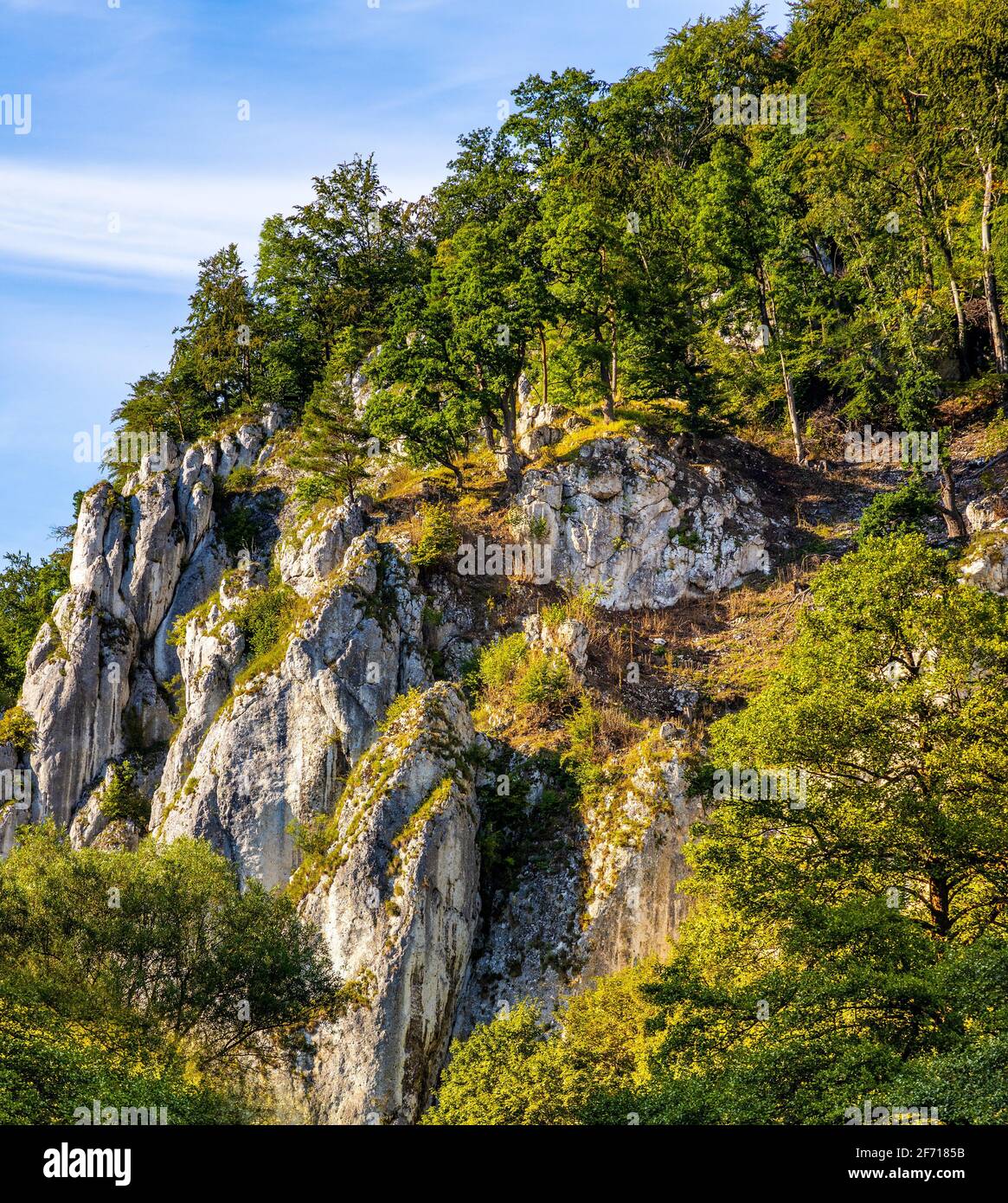 Crown rocks - Skaly Koronne - Jurassic massif with Glove Rock - Rekawica -  in Pradnik creek valley of Cracow-Czestochowa upland in Ojcow in Poland  Stock Photo - Alamy