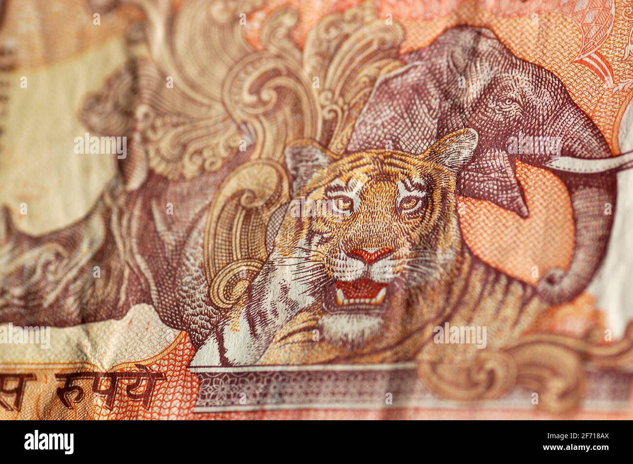 Detail of an Indian banknote showing animals from the country including a tiger, an elephant and a Rhinoceros. Used banknote, photographed at an angle Stock Photo