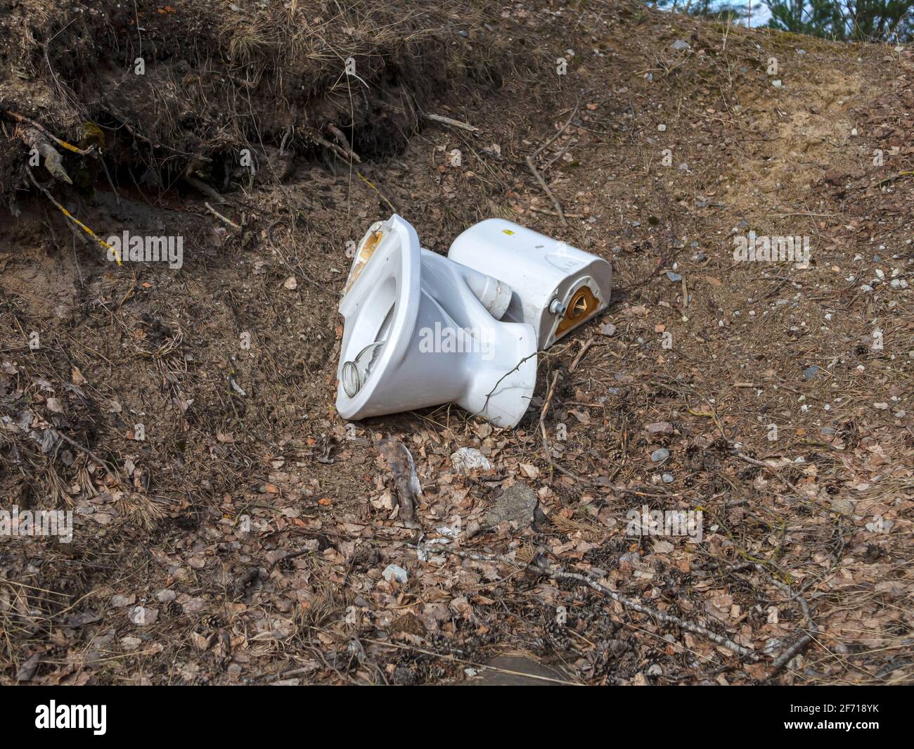 Toilet Litter. Pollution of the forest by household rubbish on nature. A pile of garbage. Broken ceramic toilet discarded in a swamp with other garbage.Polluting environment concept Stock Photo