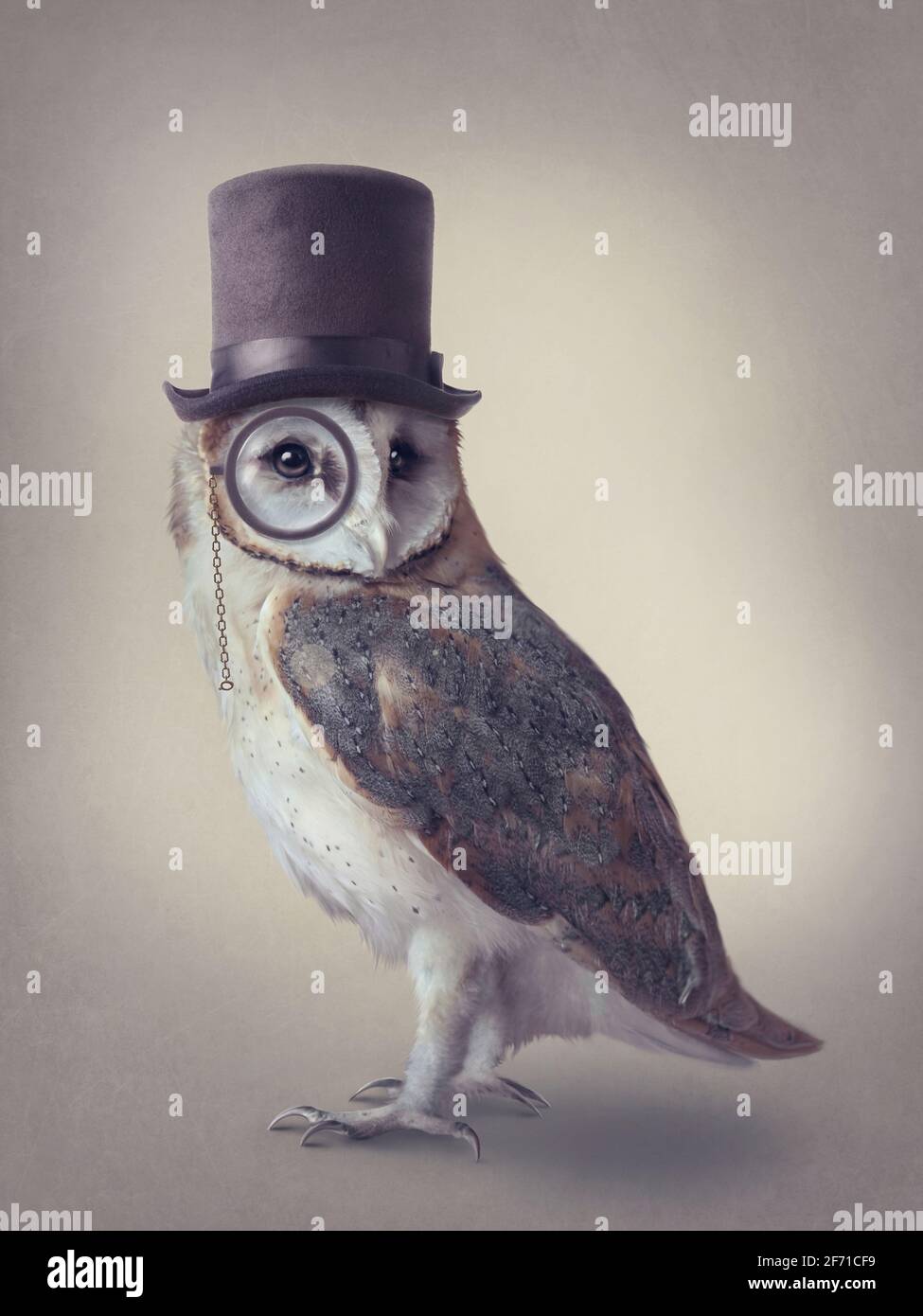 Wise owl with hat and monocle Stock Photo
