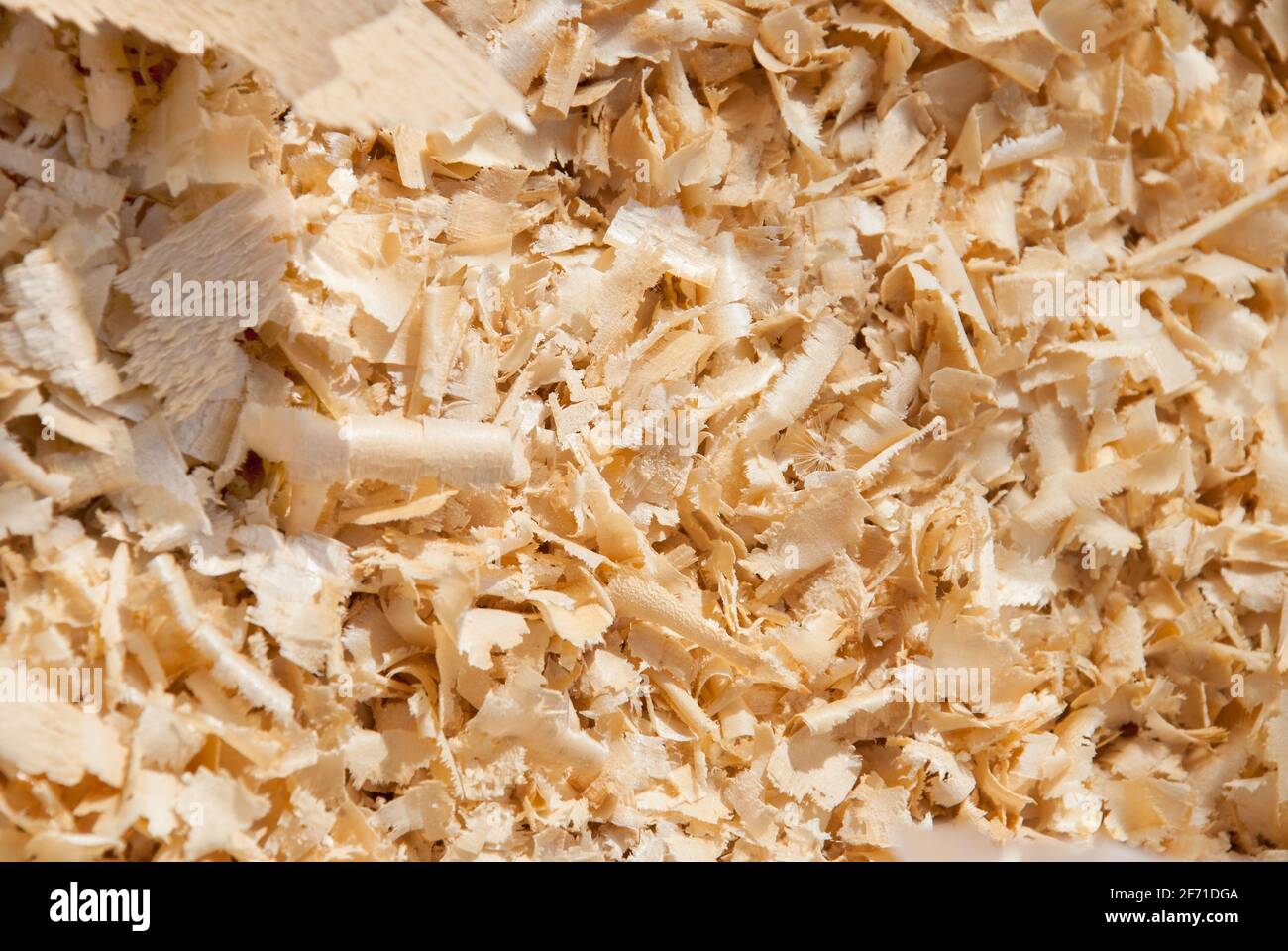 Sawdust floor hires stock photography and images Alamy