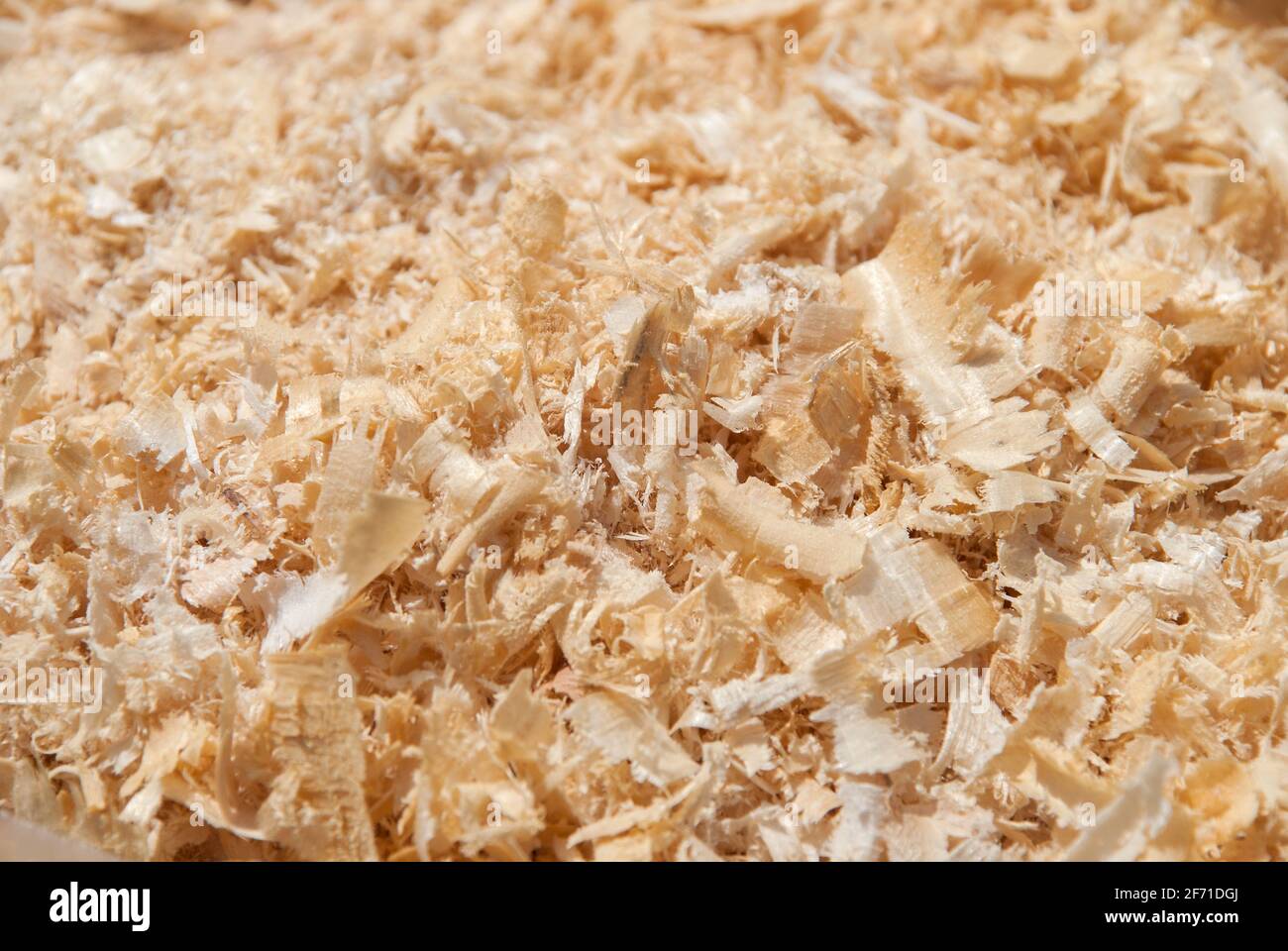 Sawdust floor hires stock photography and images Alamy