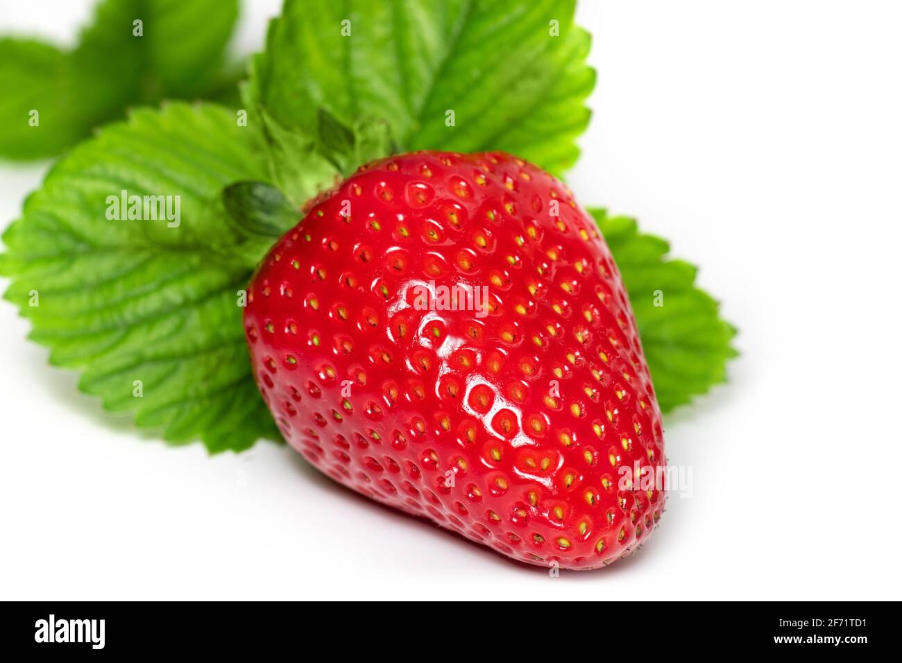 Strawberry on white background. close up Stock Photo - Alamy