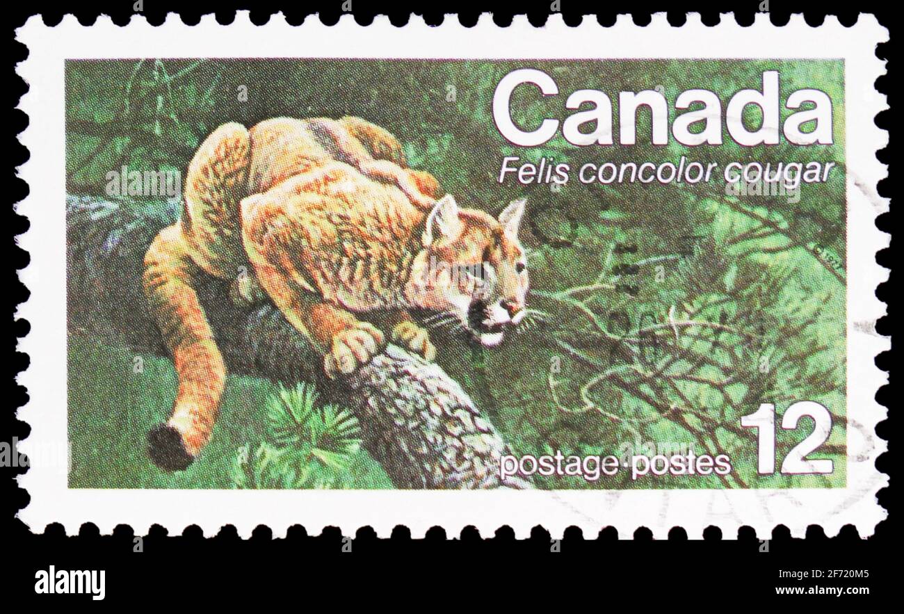 puma stamp