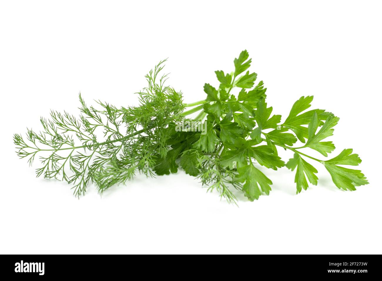dill parsley to spices bunch isolated on white background. Stock Photo