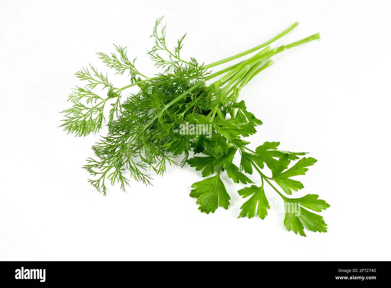 dill parsley to spices bunch isolated on white background. Stock Photo